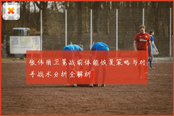 张伟丽卫冕战前体能恢复策略与对手战术分析全解析